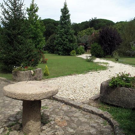 Quinta Do Sobreiro - Country House 호텔 Facha 객실 사진
